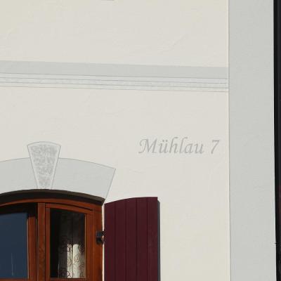 8 Img 0993 Jpg1